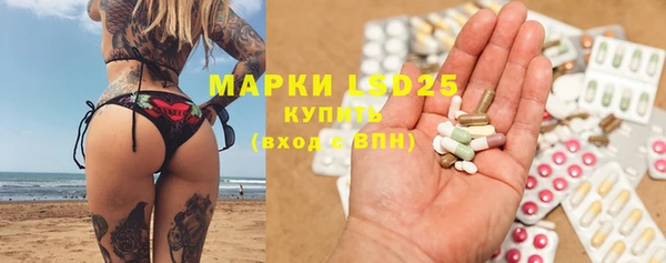 гидропоника Алзамай