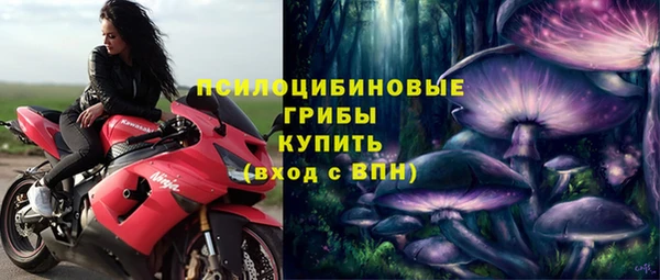гидропоника Алзамай